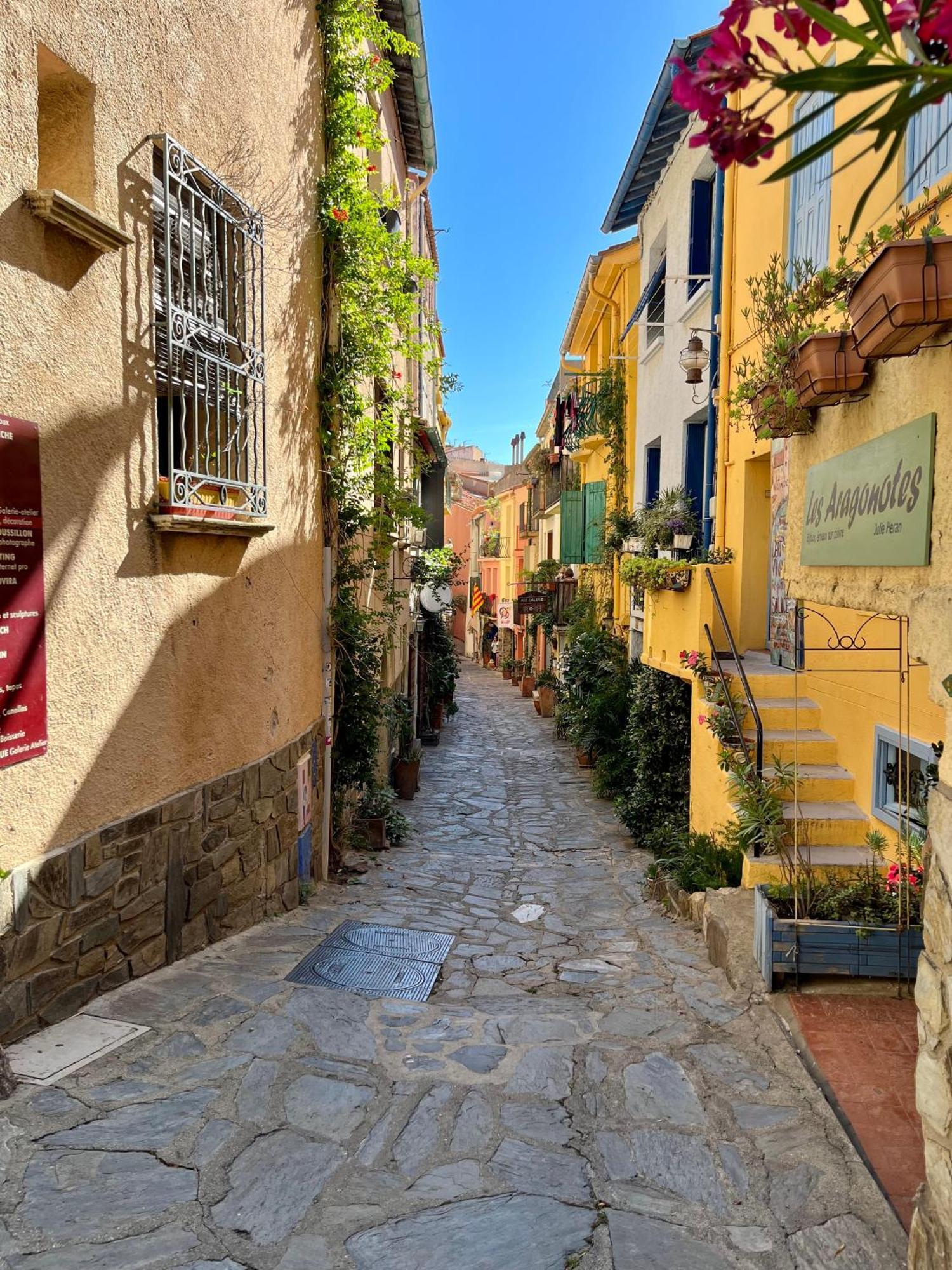 Appartement Collioure, Grande Terrasse Et Parking Екстер'єр фото